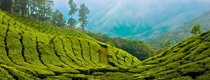 Unique Kerala Honeymoon Travel Package